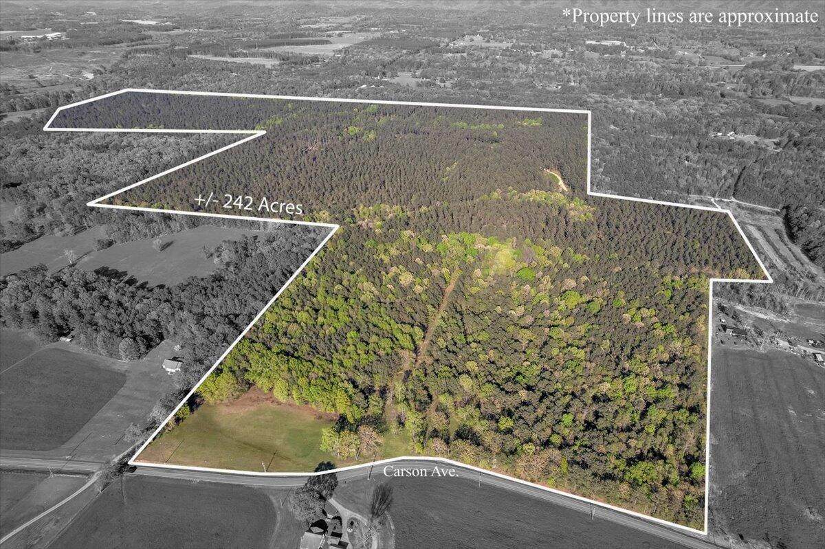 247 Ac Maddron Road - Photo 1