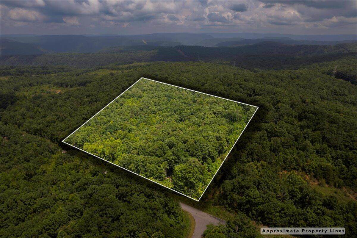 Lot 186 Teludachee Trail - Photo 1