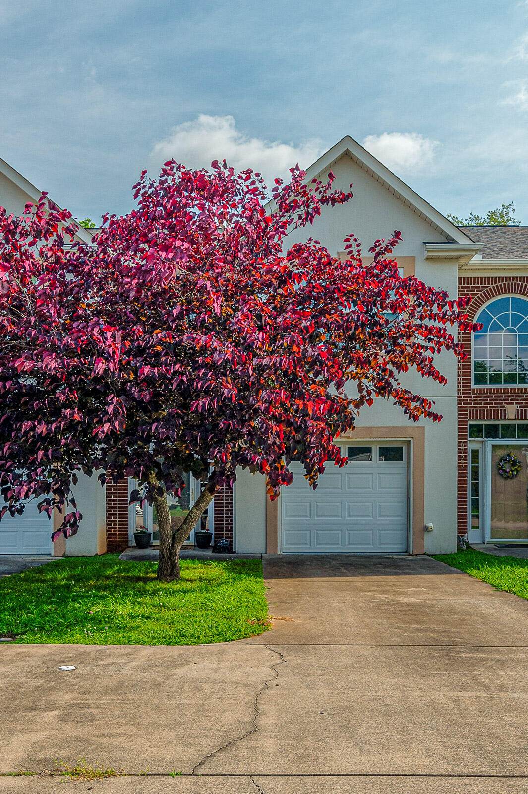 6721 Brianna Way - Photo 1