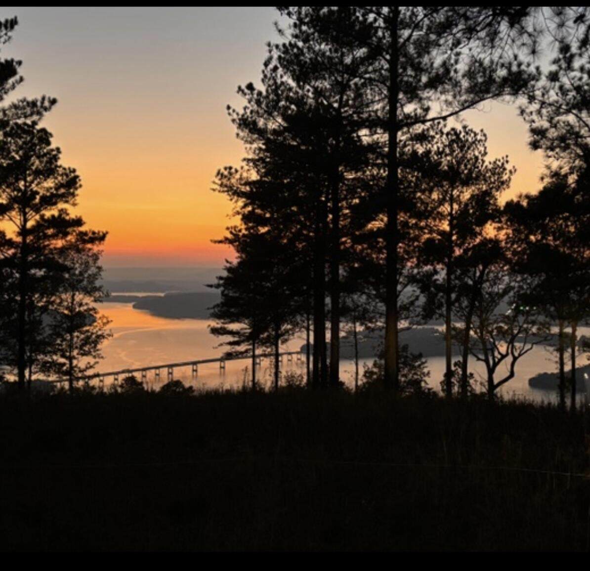 0-1017 Buck Crossing Drive - Photo 1