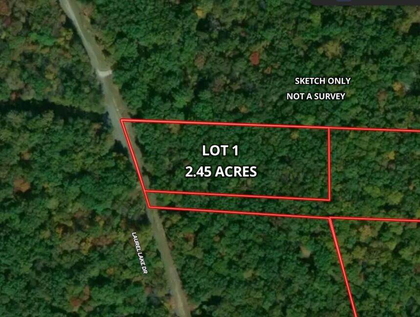 0-Lot 1 Laurel Lake Drive - Photo 1