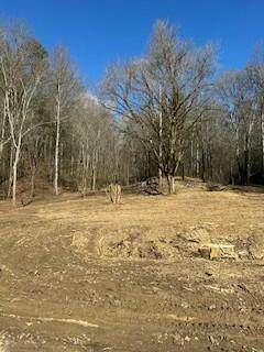 21.25 Chestnut Valley Road - Photo 1