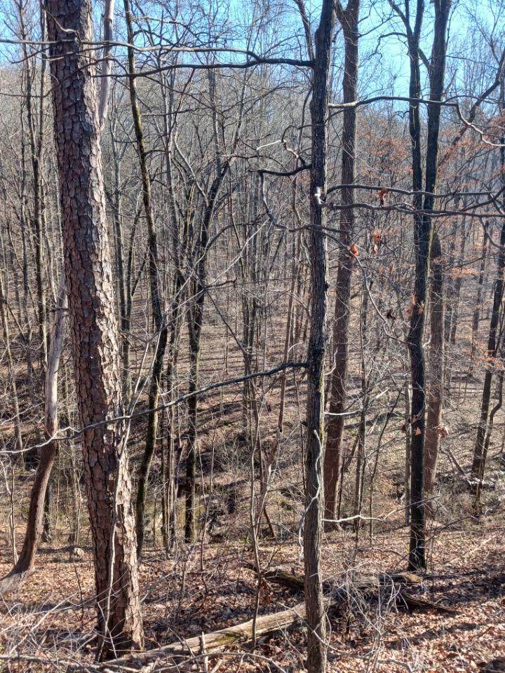 311 Roberts Mill Road - Photo 1