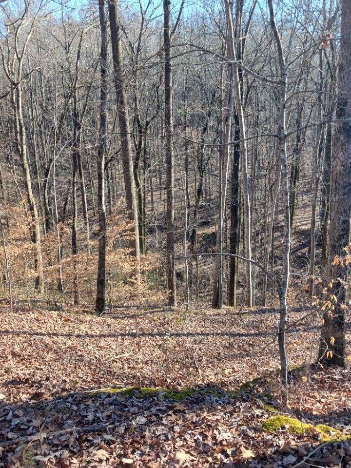 https://bt-photos.global.ssl.fastly.net/chattanooga/orig_boomver_1_1517224-2.jpg
