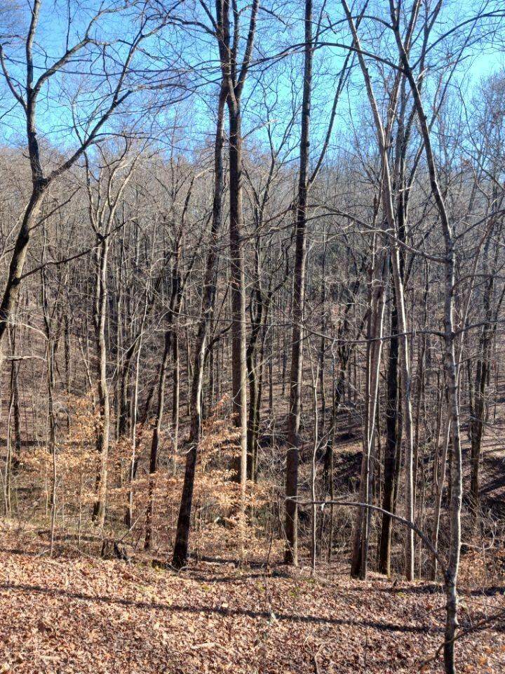 https://bt-photos.global.ssl.fastly.net/chattanooga/orig_boomver_1_1517224-2.jpg