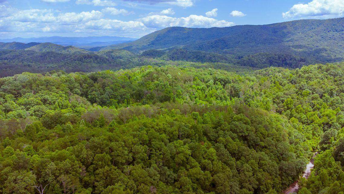 1133-1137 County Road 480 - Photo 1