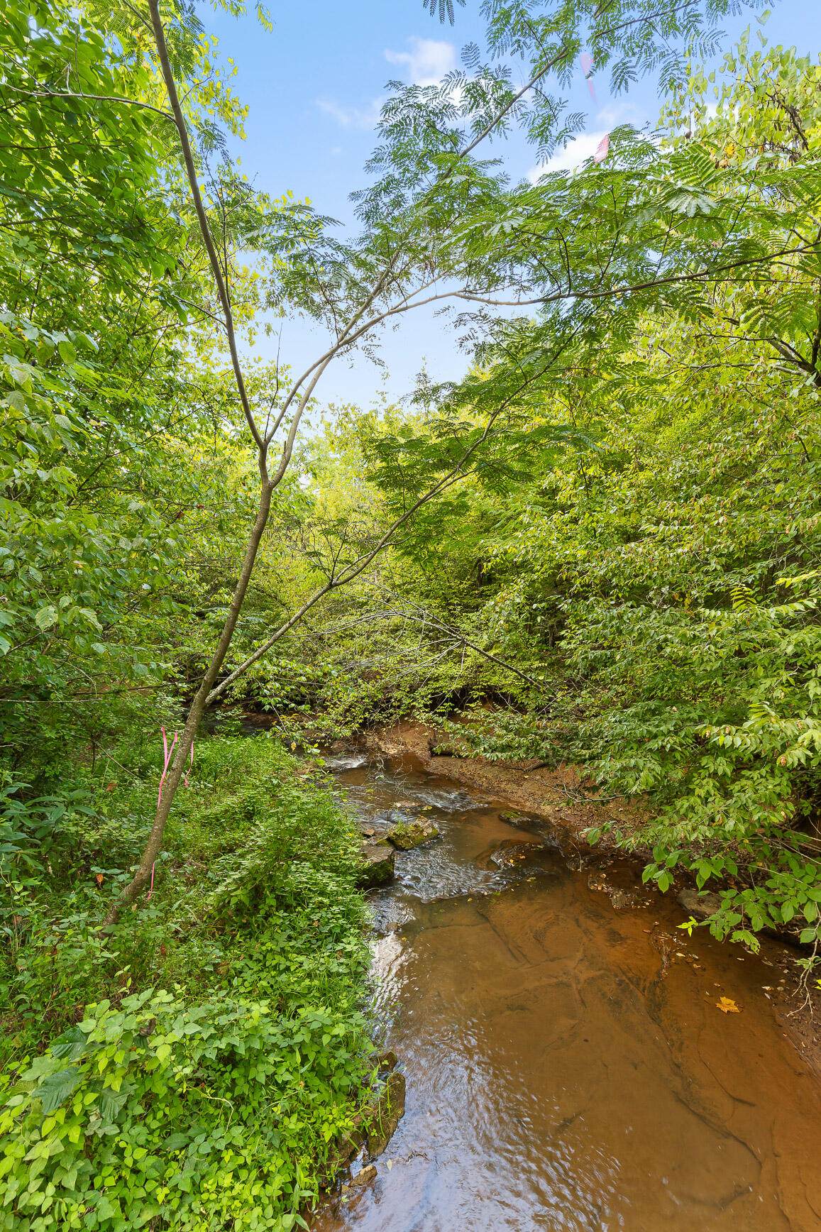 1216 Shoal Creek Road - Photo 1