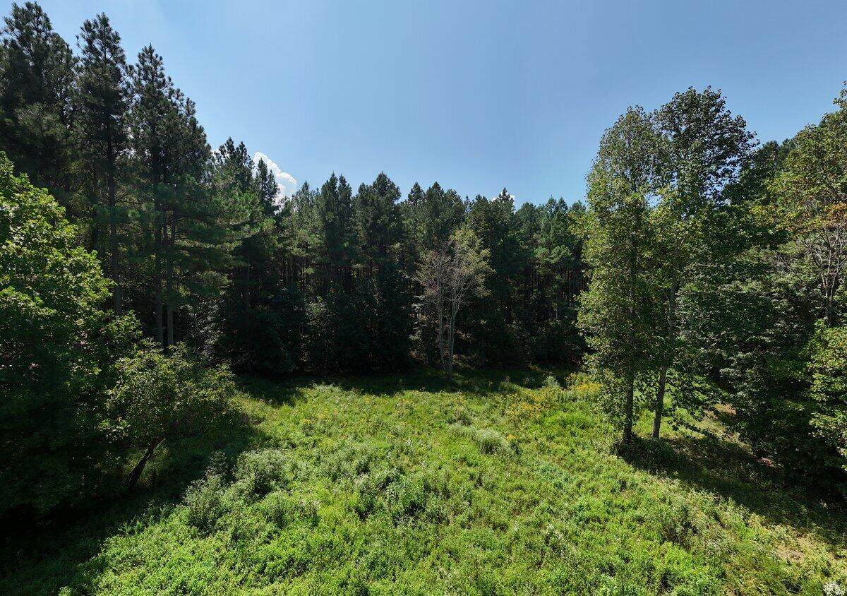 0-2055 Melody Drive - Photo 1