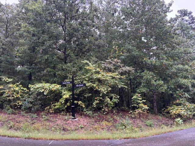 12 Fife Street - Photo 1