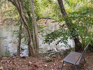 160 Tree Frog Lane - Photo 1