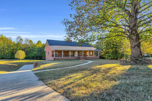 7900 Clara Chase Drive - Photo 1