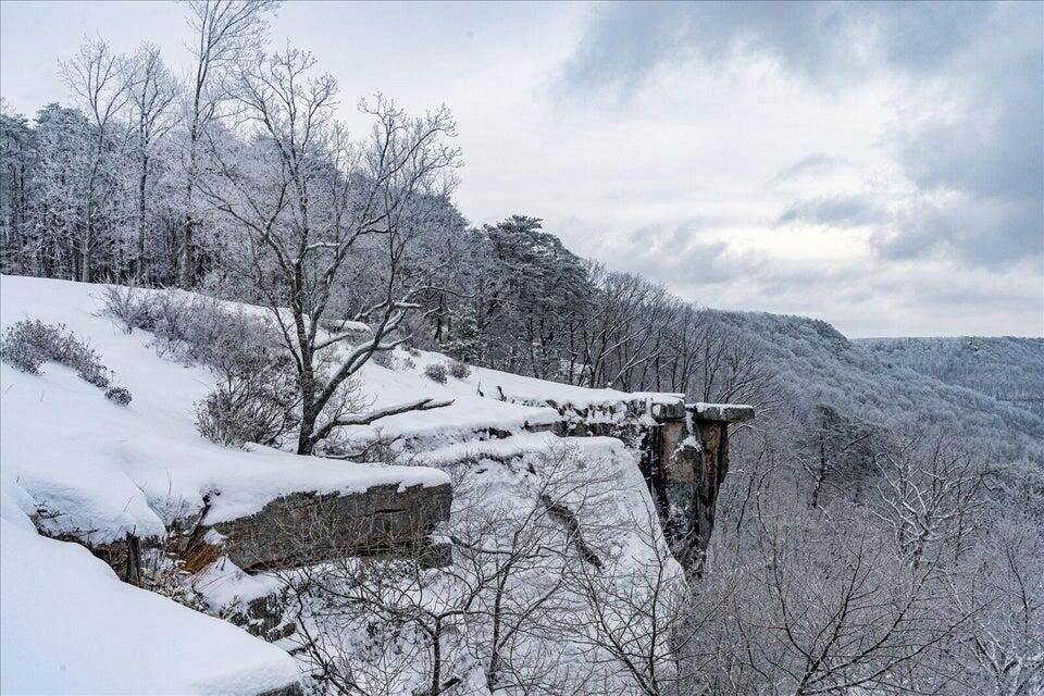 110 Falls Lane - Photo 1