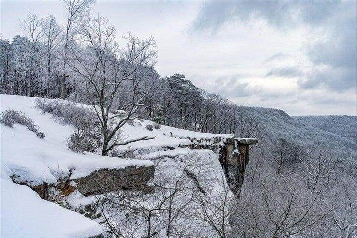 110 Falls Lane - Photo 1