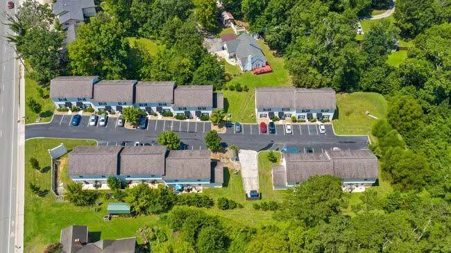 1109 Maple Tree Lane - Photo 1