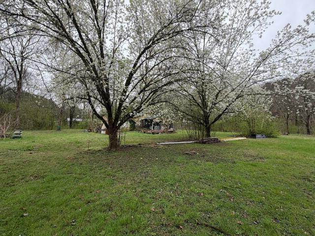 https://bt-photos.global.ssl.fastly.net/chattanooga/orig_boomver_1_1530450-2.jpg