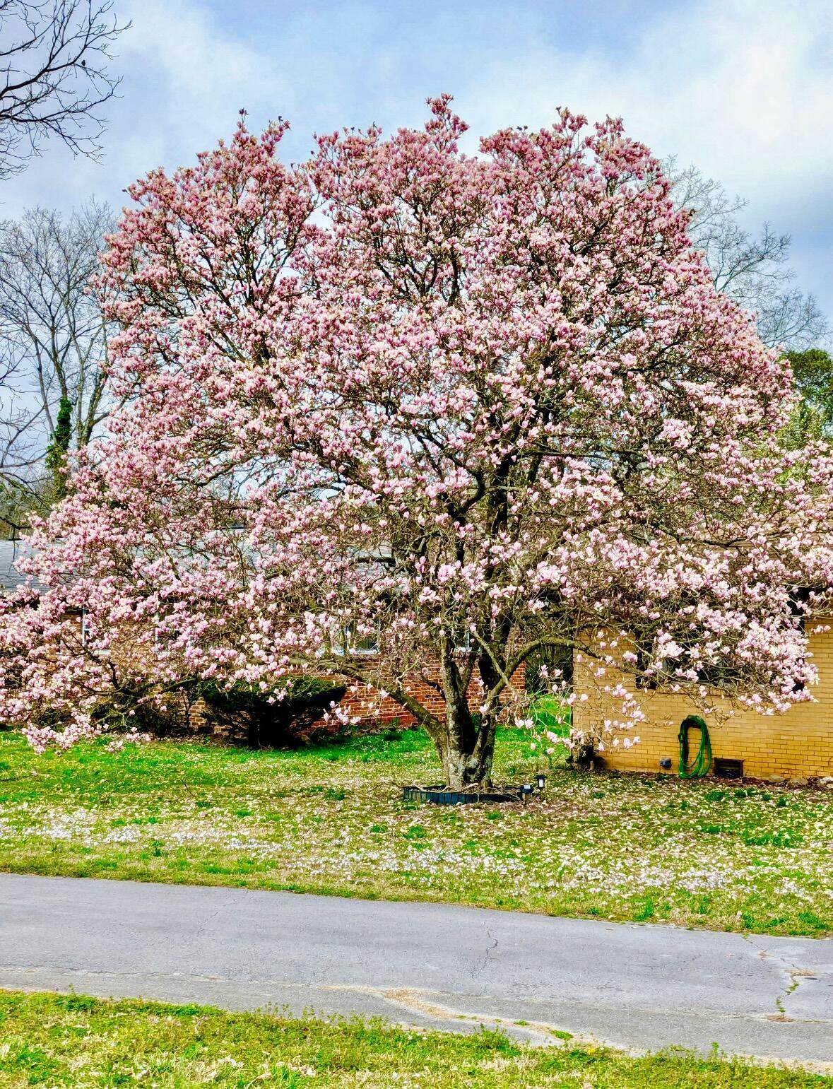 https://bt-photos.global.ssl.fastly.net/chattanooga/orig_boomver_1_1530878-2.jpg