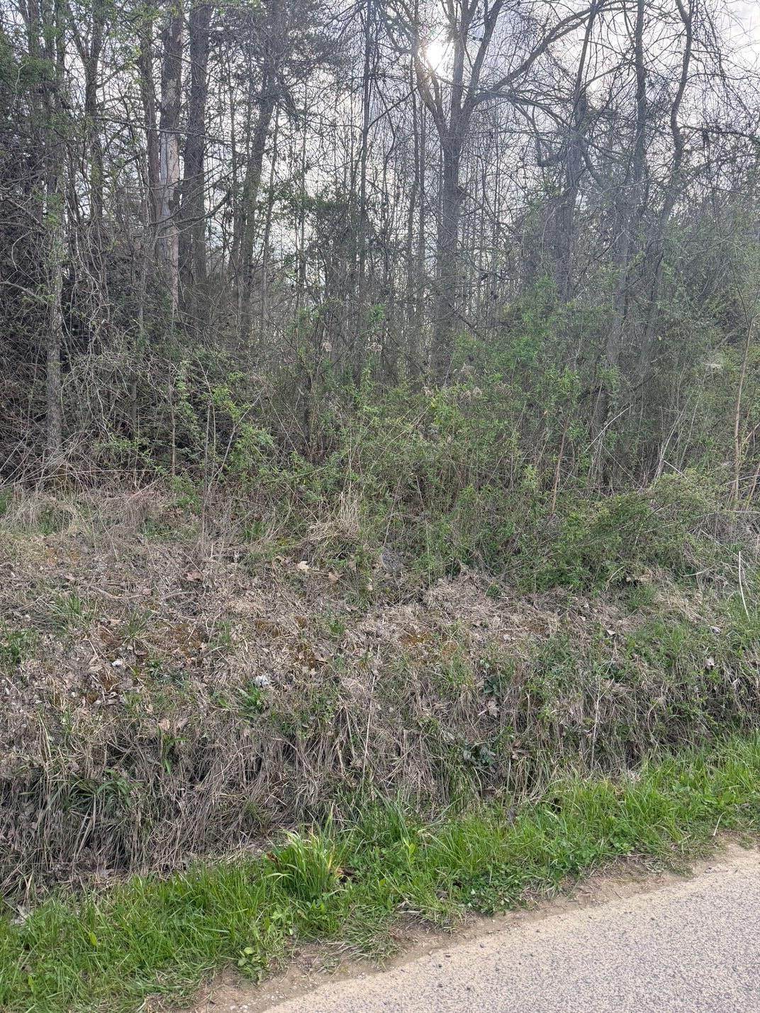 97.32 Griffith Road - Photo 1