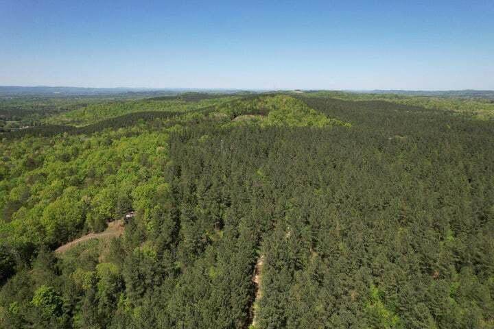 0 Colbaugh Hollow Road - Photo 1