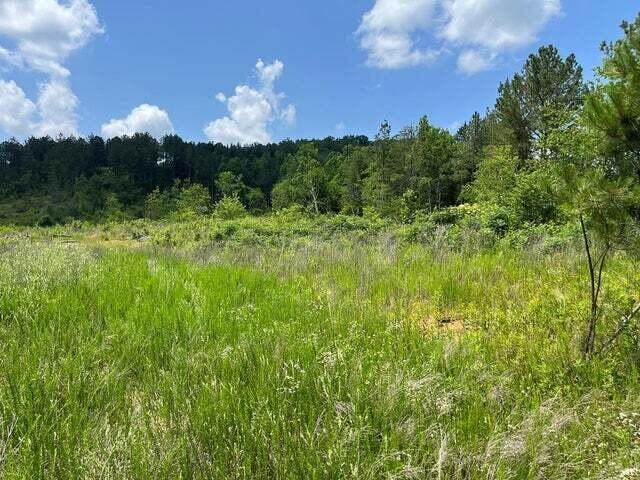 0-53 County Road - Photo 1
