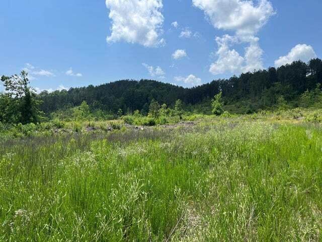 https://bt-photos.global.ssl.fastly.net/chattanooga/orig_boomver_1_1532334-2.jpg
