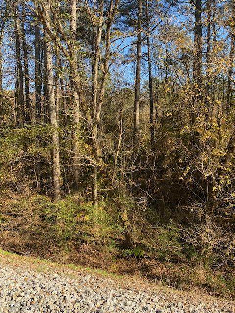 0 Hwy 411 - Photo 1