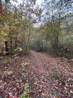 7810 Lee Highway - Photo 4