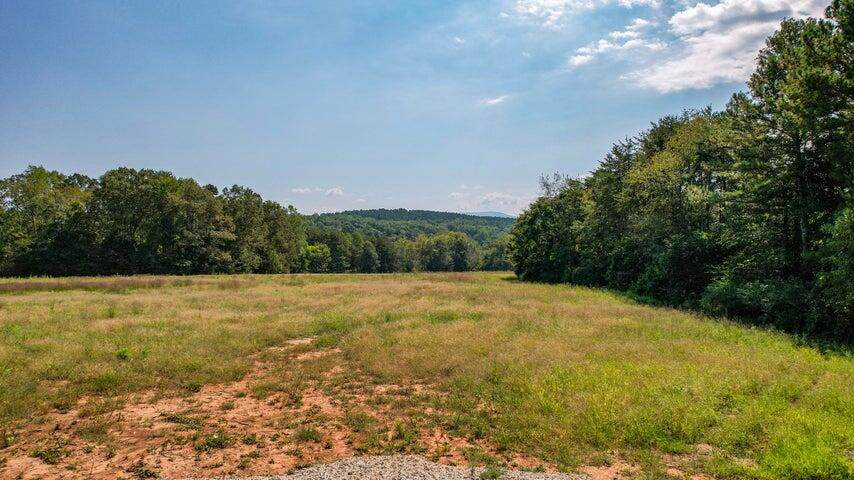 Tract 4 Bullens Road - Photo 1