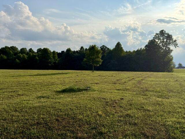 https://bt-photos.global.ssl.fastly.net/chattanooga/orig_boomver_1_1538826-2.jpg