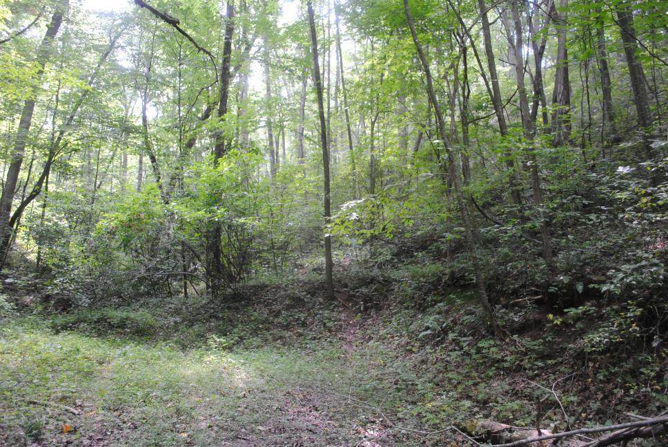 https://bt-photos.global.ssl.fastly.net/chattanooga/orig_boomver_1_1540005-2.jpg
