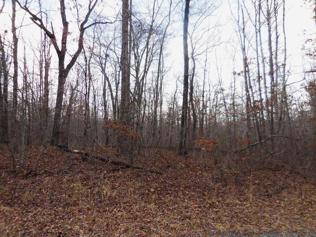 3008 Diego Drive - Photo 1
