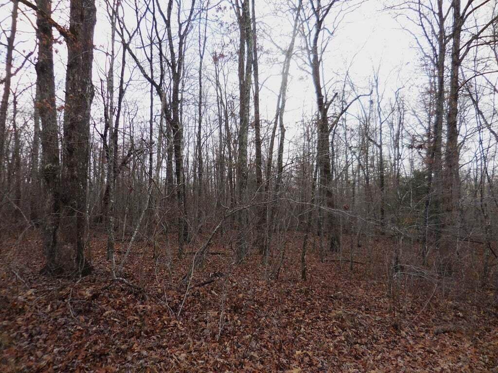 https://bt-photos.global.ssl.fastly.net/chattanooga/orig_boomver_1_1540340-2.jpg