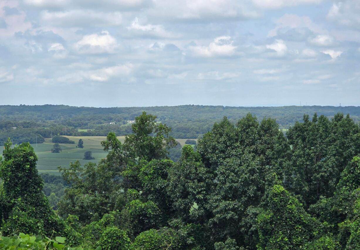 https://bt-photos.global.ssl.fastly.net/chattanooga/orig_boomver_2_1540858-2.jpg