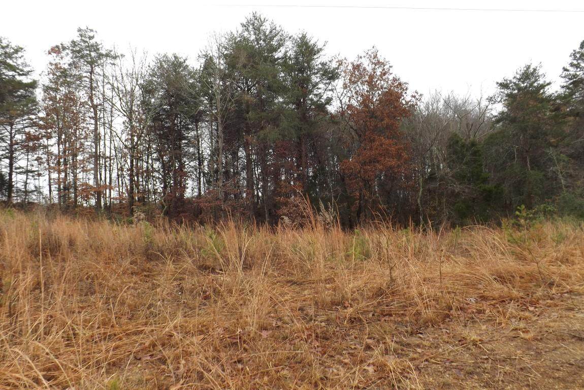 10.3 Acres John Ross Rd - Photo 1 10.3 Acres John Ross Rd - Photo 1