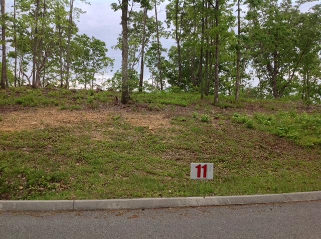 196 Duckwood Ln - Photo 1