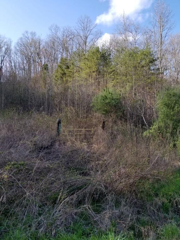 791 Bill Miller Rd - Photo 1