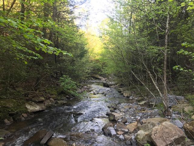 442.89 Back Valley Road - Photo 1