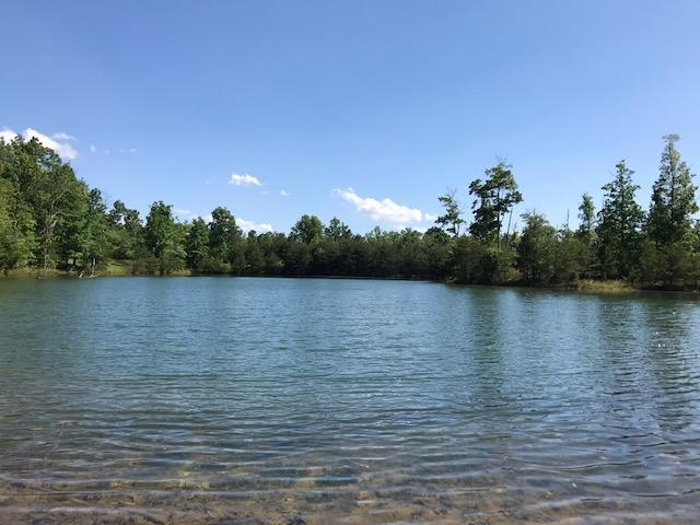 100 Bluff View Dr - Photo 1