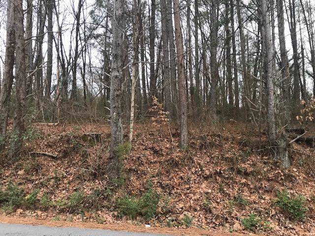 915 Lower Mill Rd - Photo 1