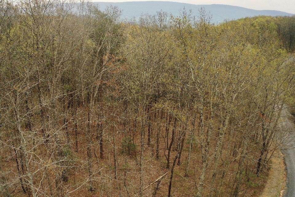 https://bt-photos.global.ssl.fastly.net/chattanooga/1280_boomver_2_1316112-2.jpg
