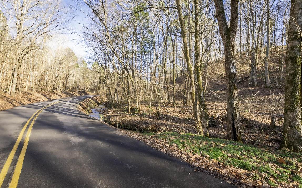 https://bt-photos.global.ssl.fastly.net/chattanooga/orig_boomver_2_1348403-2.jpg
