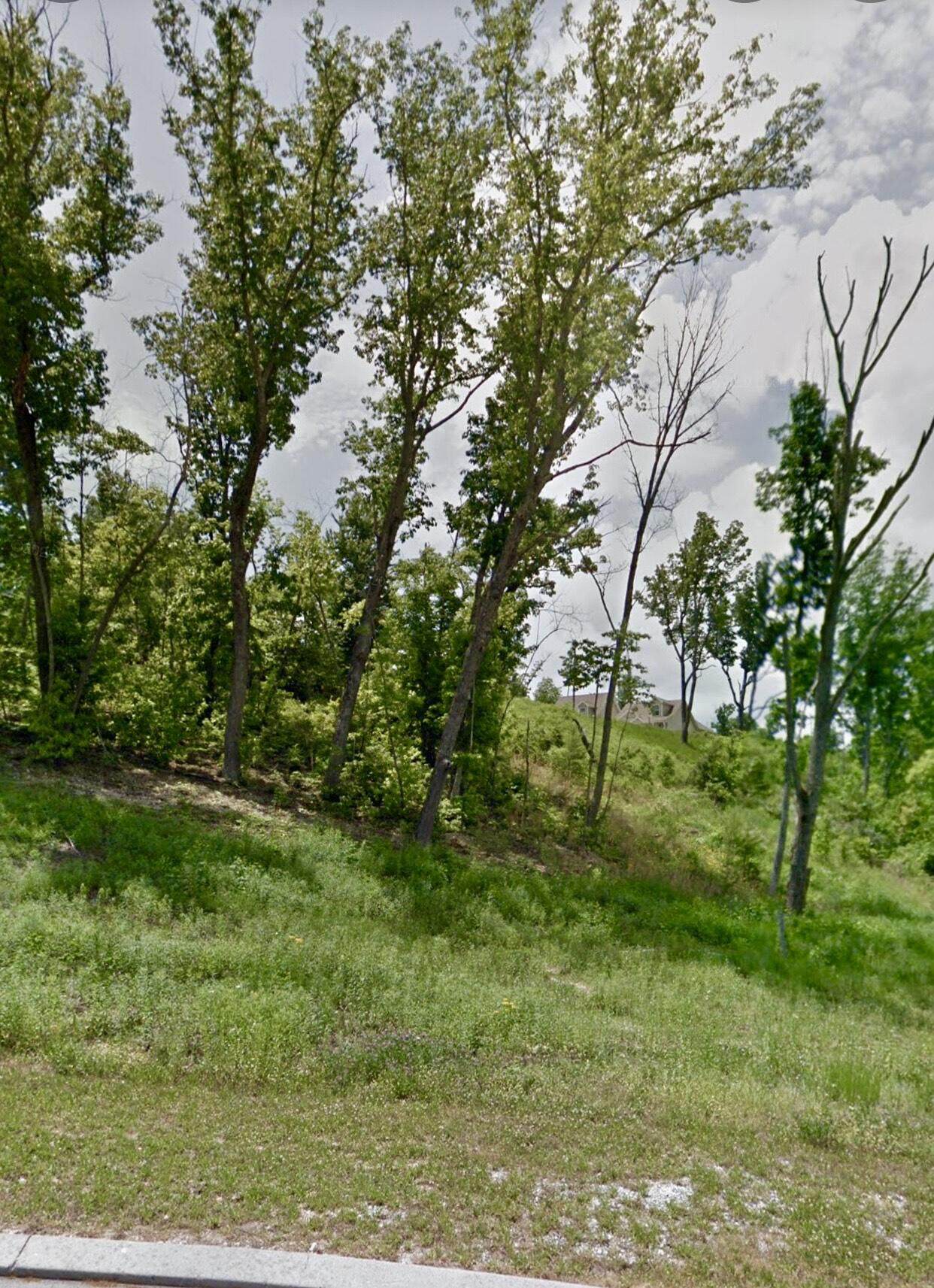 1698b Short Leaf Ln - Photo 1