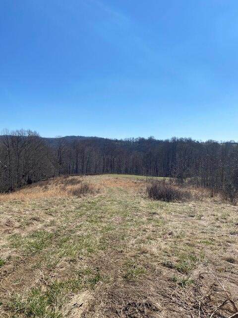 Lot 3 Reeder Town Road - Photo 1