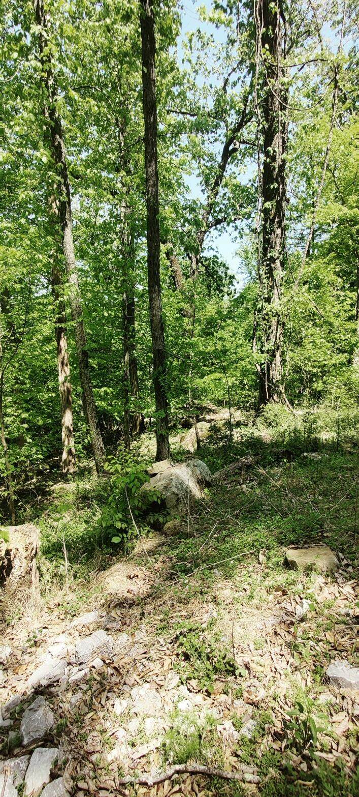 5.2 Coburntown Rd - Photo 1
