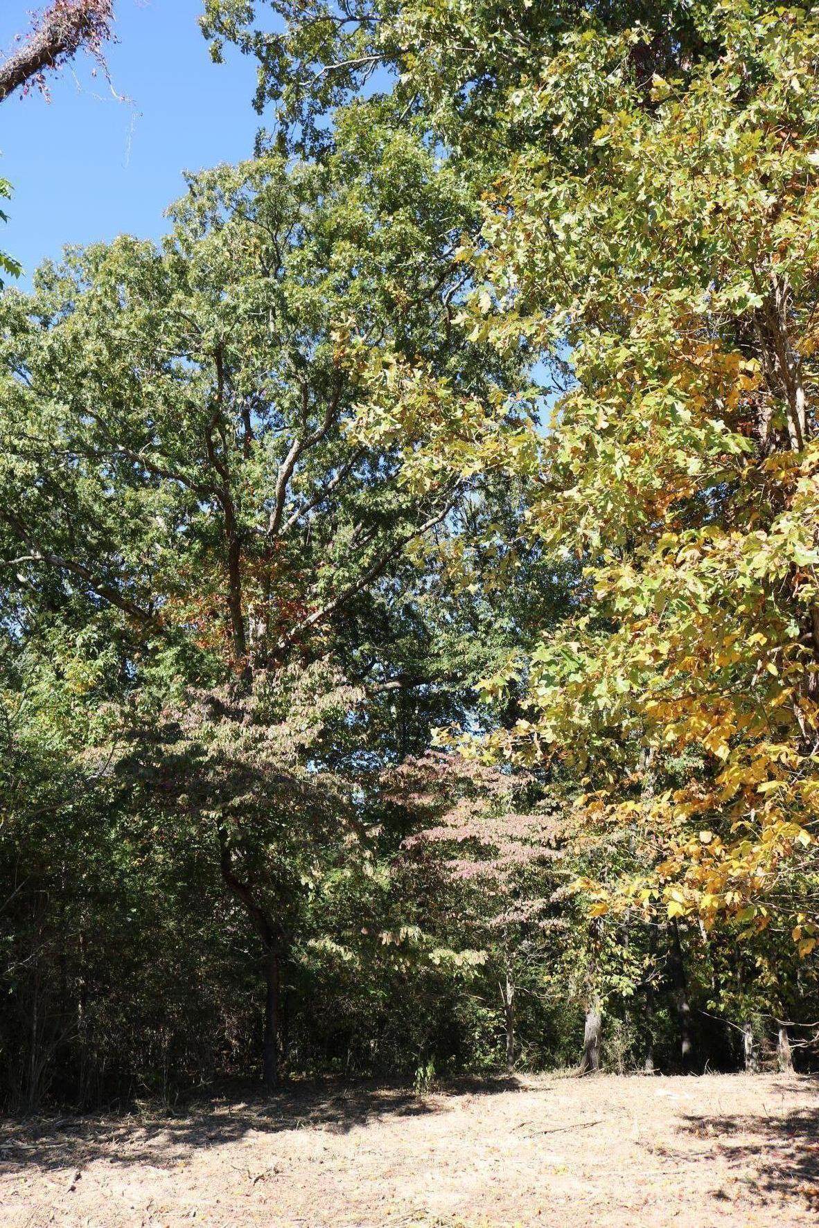 https://bt-photos.global.ssl.fastly.net/chattanooga/orig_boomver_2_1360016-2.jpg