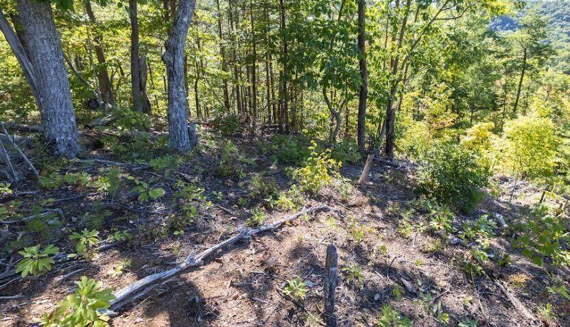 0 Upper Valley Rd - Photo 1
