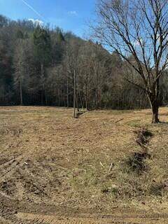 63.74 Acre Chestnut Valley Road - Photo 1