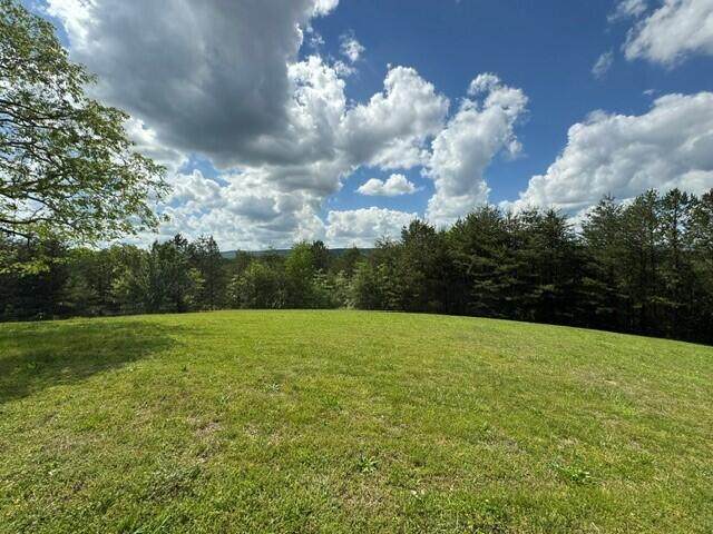 10104 Purple Martin Lane - Photo 1