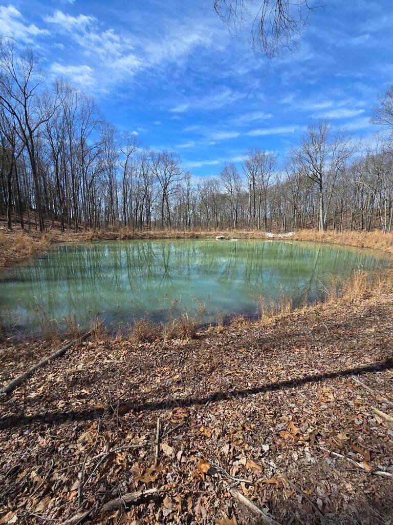 464-Jf-440 Moonlight Lane - Photo 1