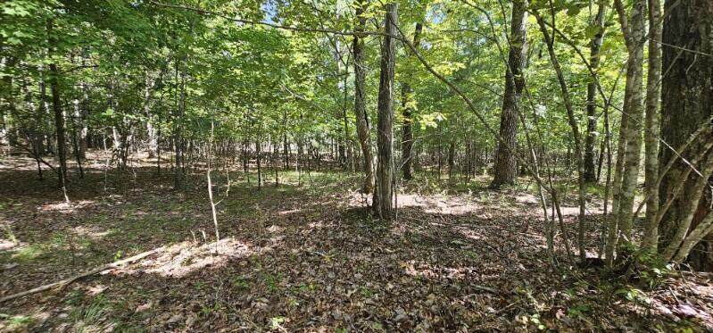 Lot 327 2 Lake Trl - Photo 1