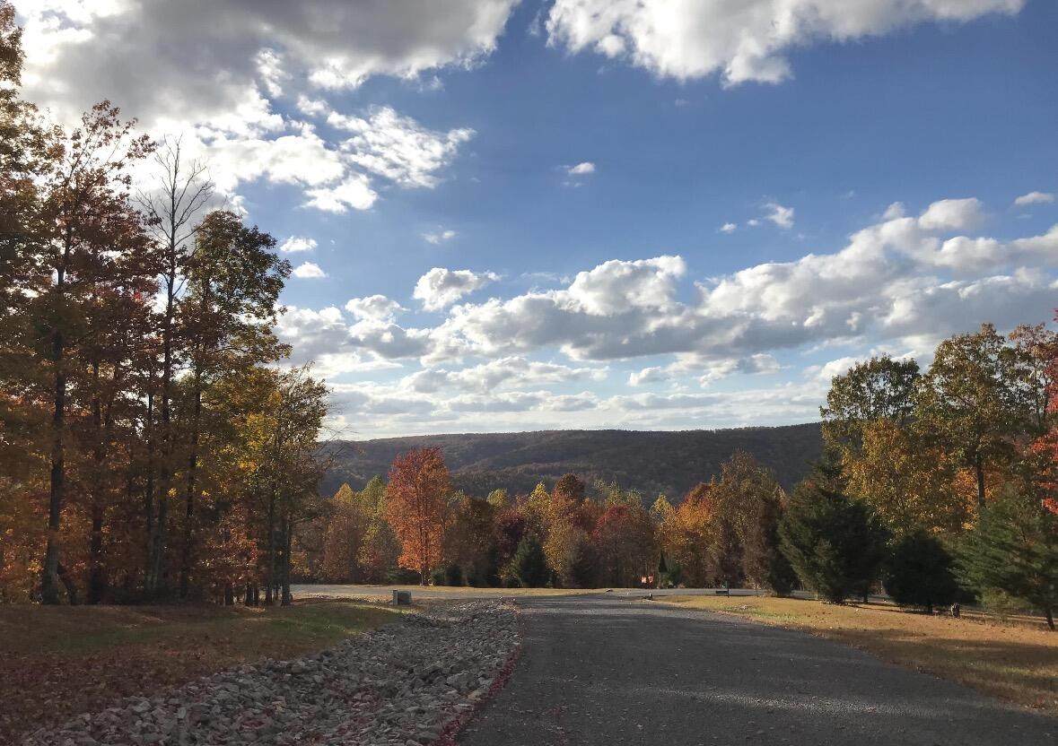 0-309 Chestnut Oak Drive - Photo 1